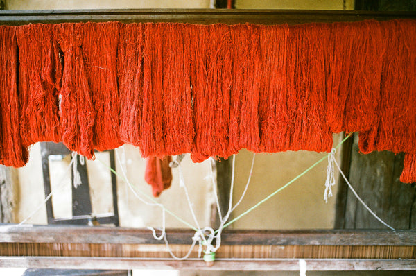 Natural dyes in Assam with peace silk. Indian madder called Manjistha to yield red shades.