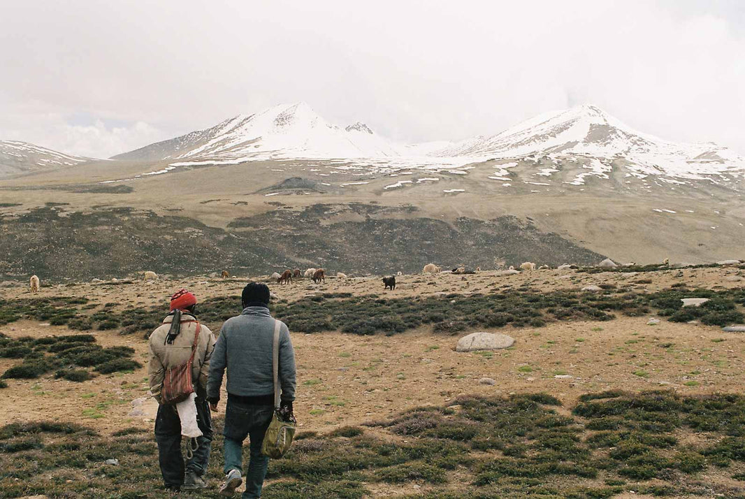 The impact of modernization and climate change on nomadic life