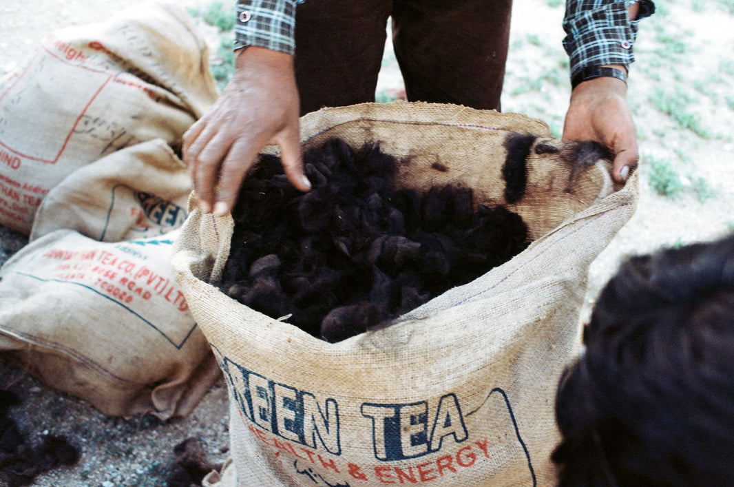 The story of our 2017 wool...