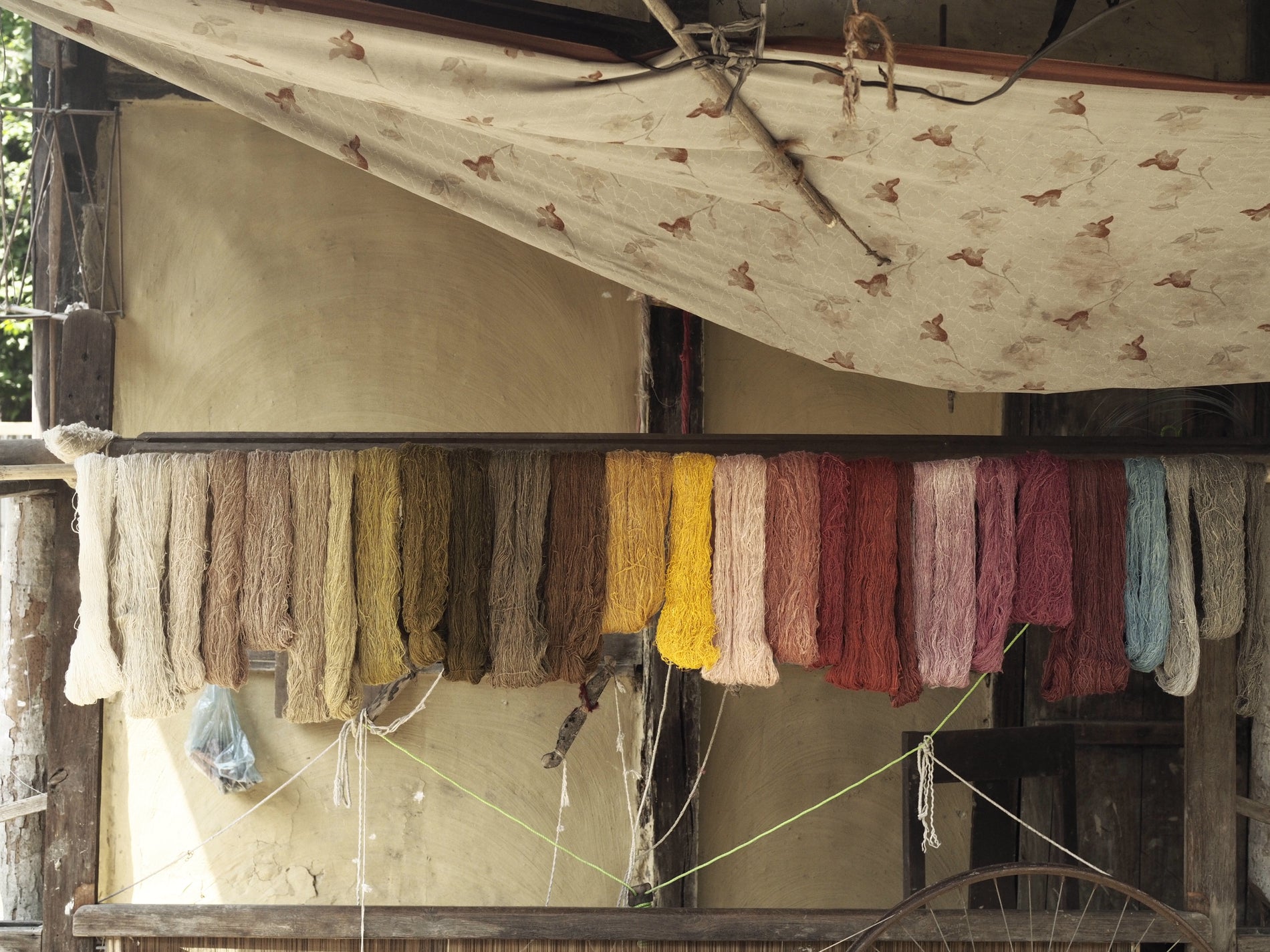 Our new color palette from Assam