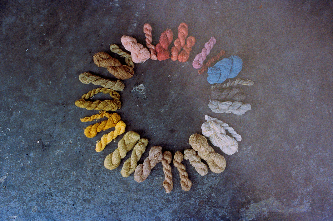 An introduction to our natural dyes