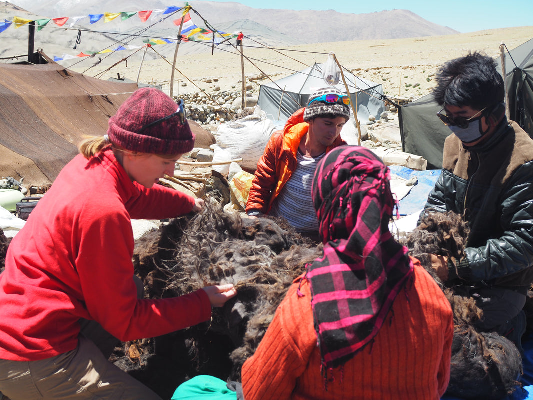 Working with KAL: Intern Jimmy shares his experience of the Wool Harvest 2018