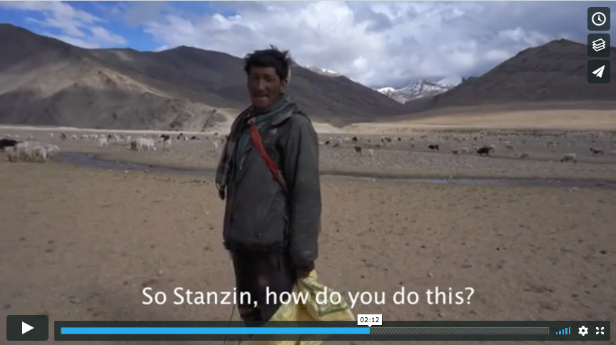 The magic of discovery.