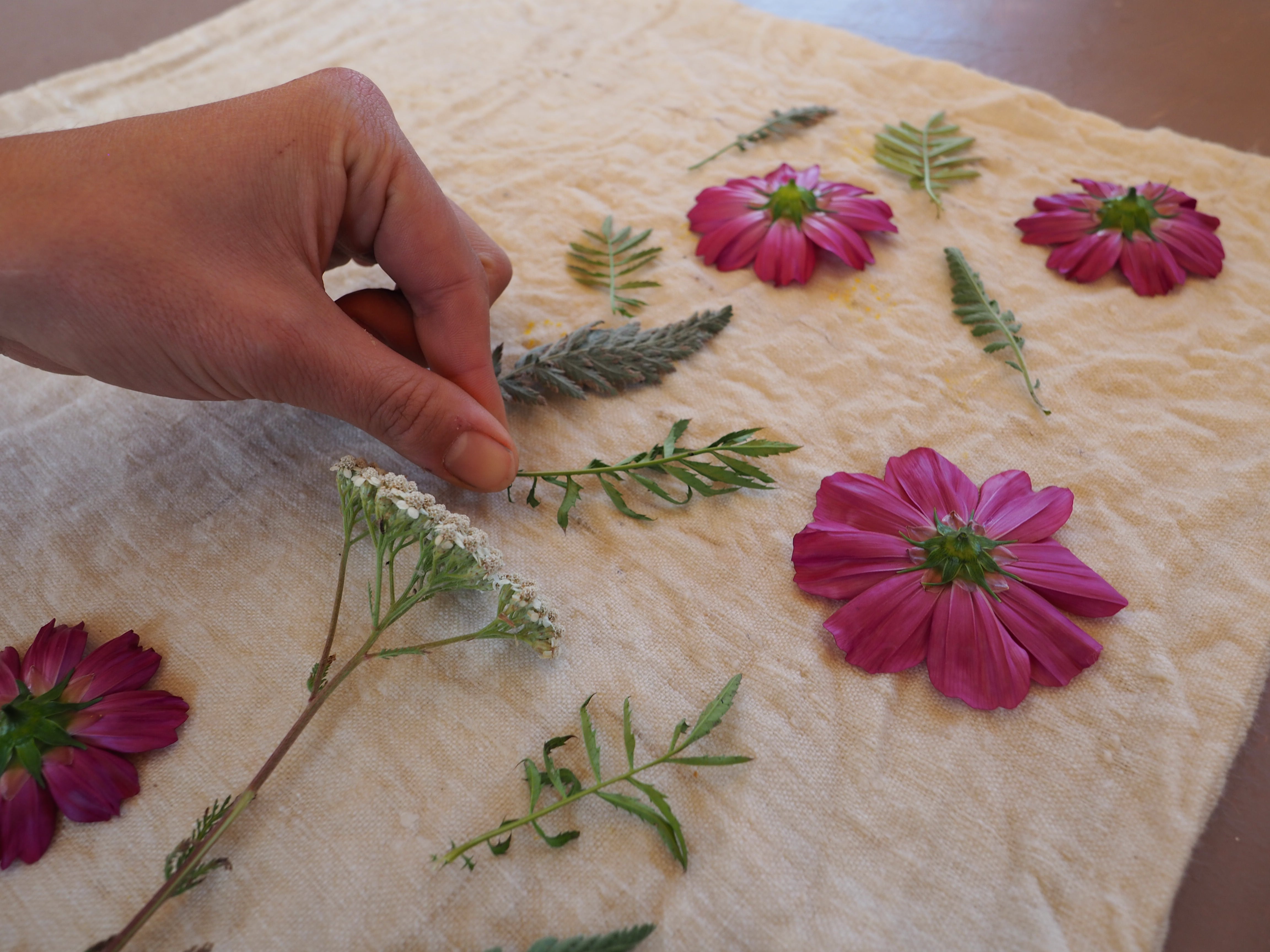 Pillow Case Cosmos & Yarrow