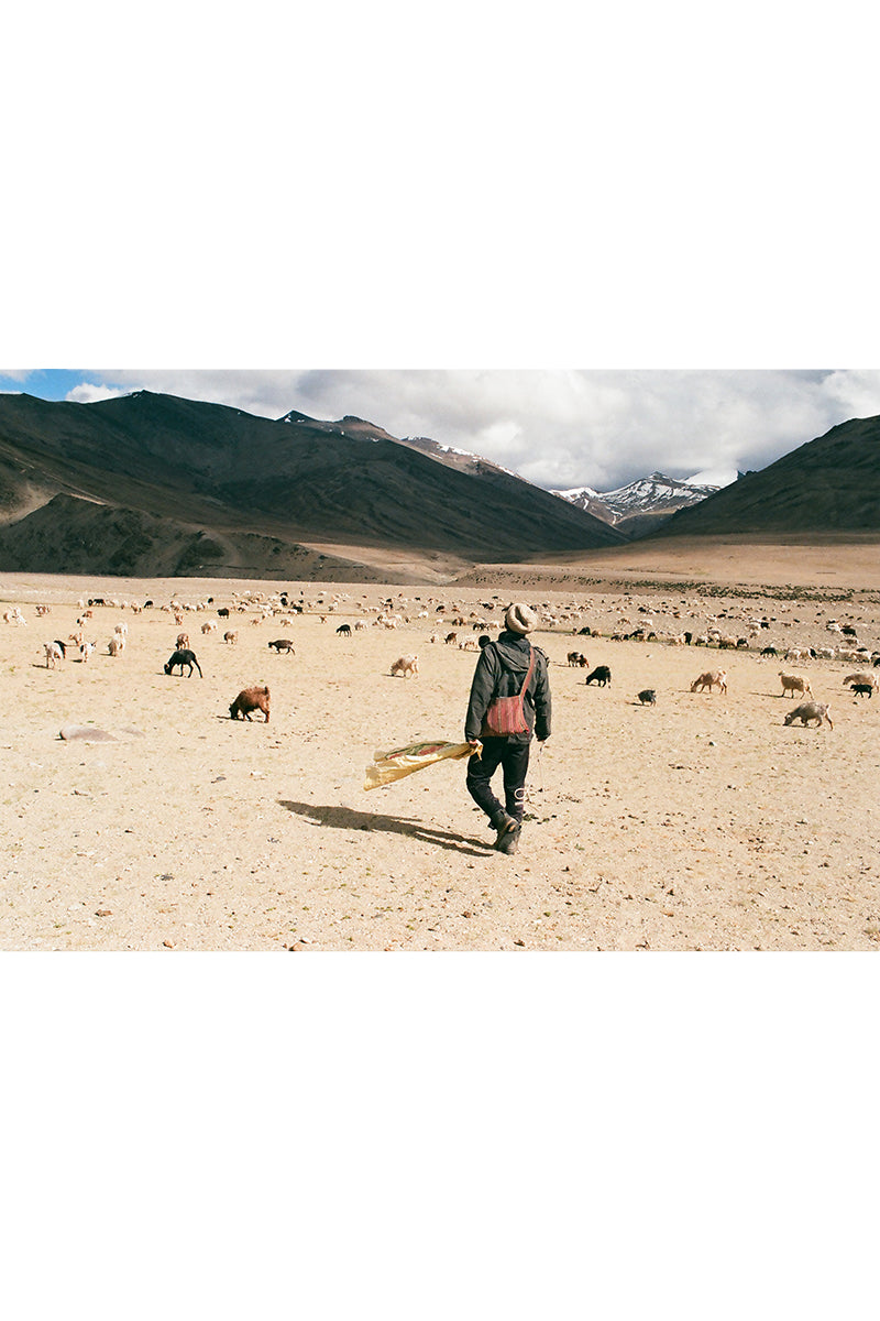 Gift Card Shepherd Tenzin