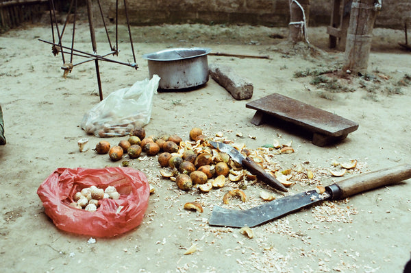 Natural dyeing in India with nuts