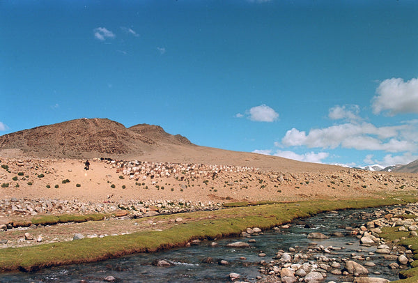 Tsug Den Mini Ladakh