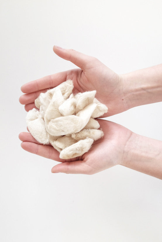 Silk cocoons found in Assam, called Eri silk