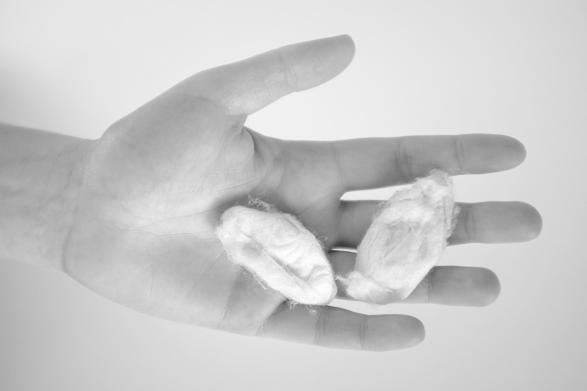 Silk cocoons found in Assam, called Eri silk