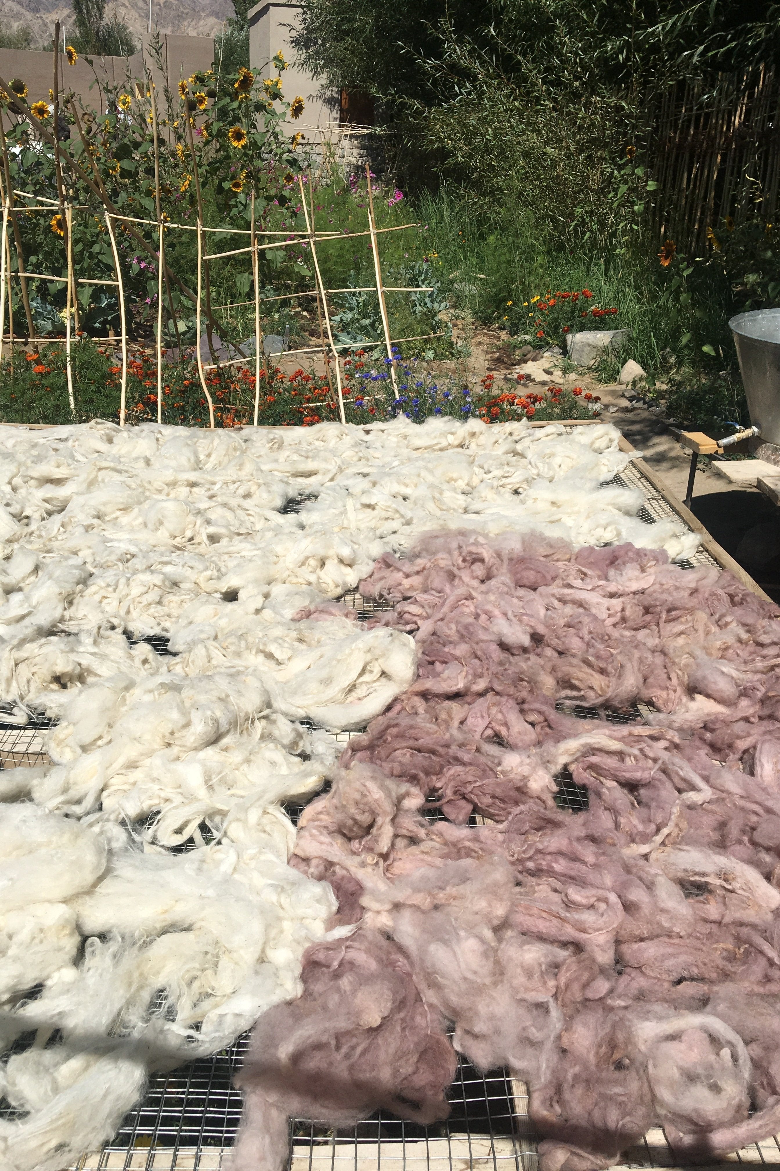 Nomadic Fibers Garn Mauve