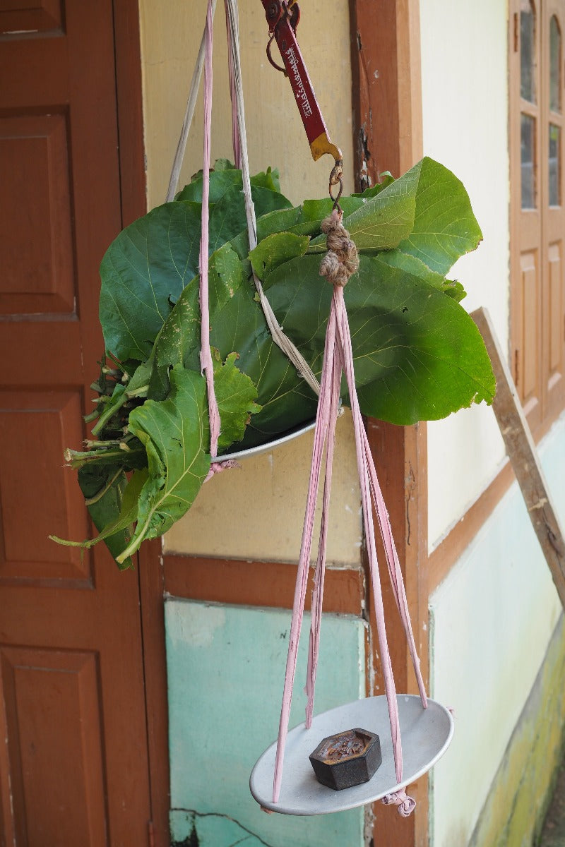 Scarf Eri Silk Teak Young