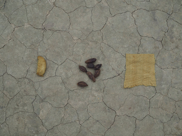 Natural dyeing with myrobalan in Assam