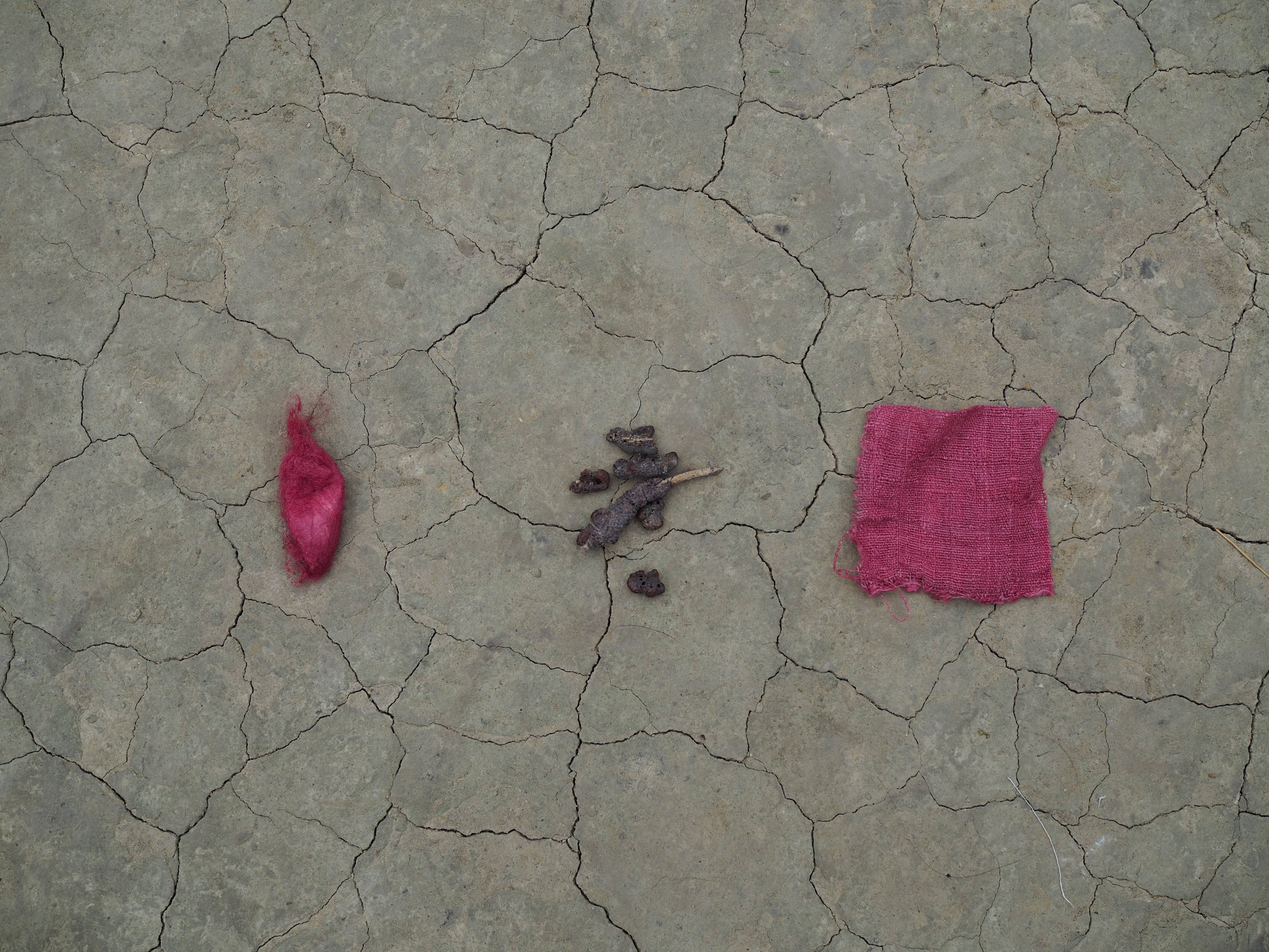 Natural dyeing with lac in Assam. Pink shades, entirely natural.