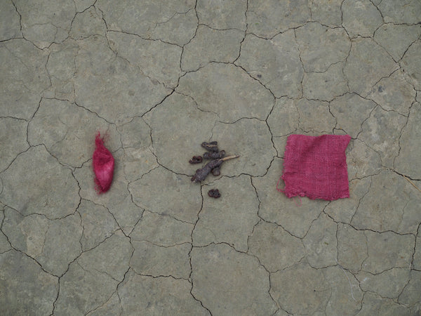 Natural dyeing with lac in Assam. Pink shades, entirely natural.