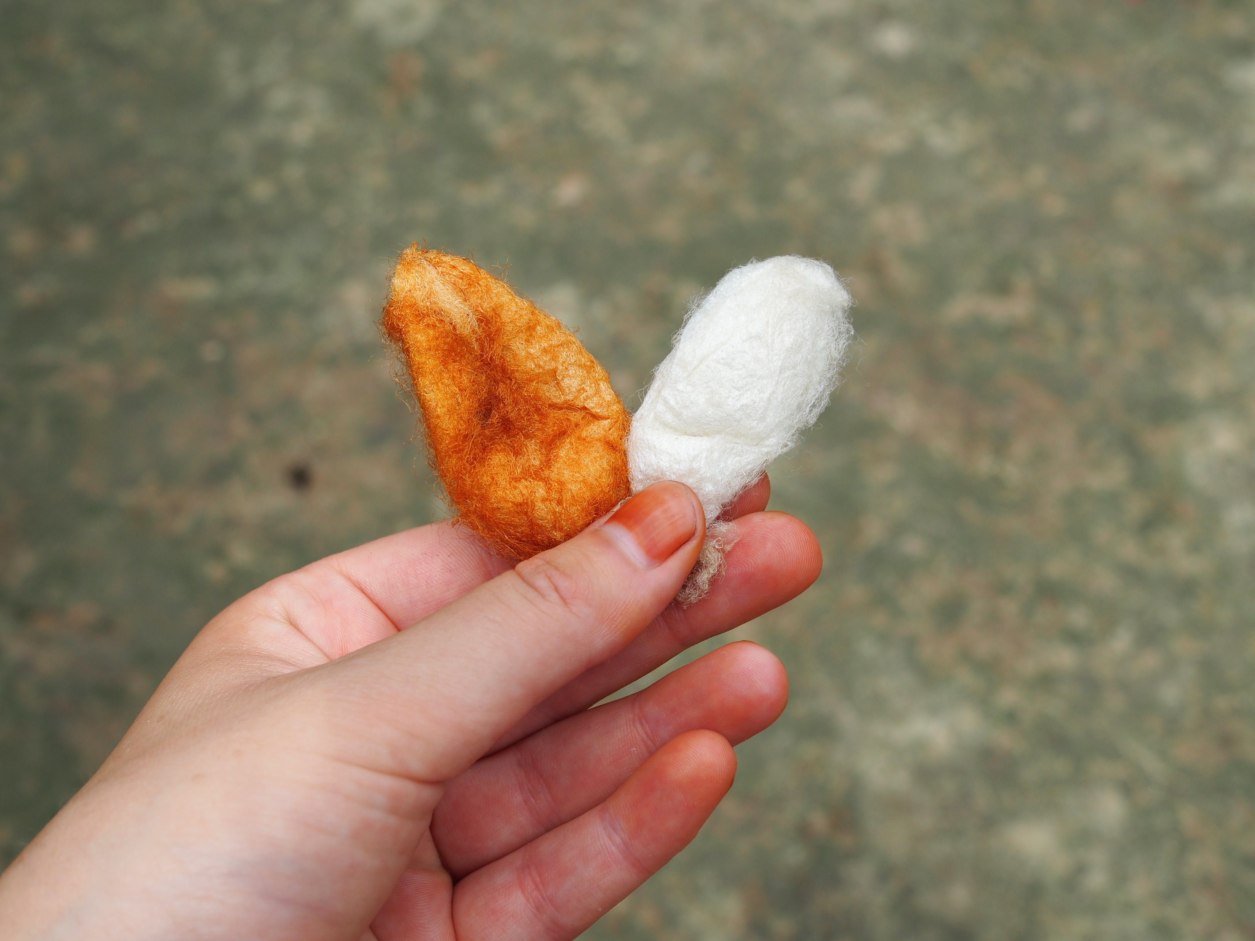 Silk cocoons found in Assam, called Eri silk. The rare red eri cocoon with the more common white eri cocoon.
