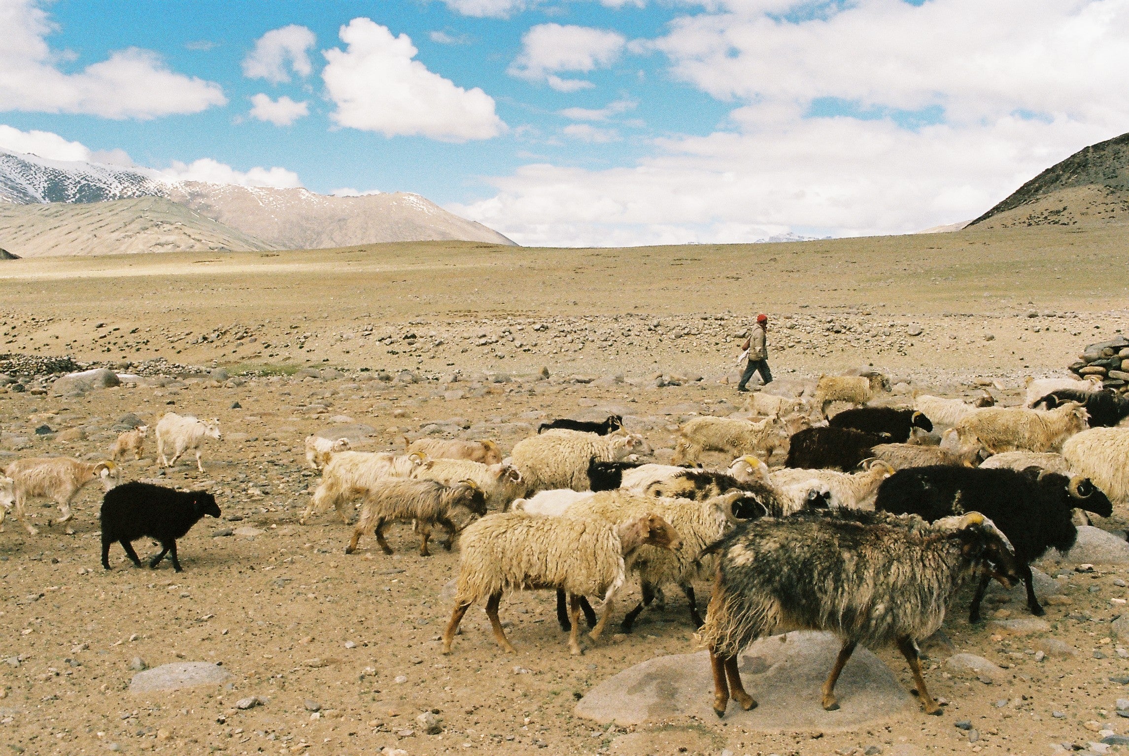 Nomadic Fibers Yarn Dark Grey